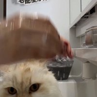 手についたシャンプーの泡を洗う飼い主