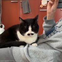 目を閉じた顔