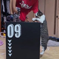 ジャンプトレーニングをする男の子