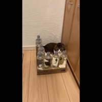 俯く姿