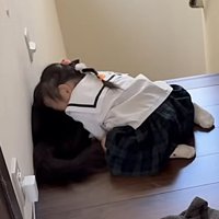 猫の背中にすりすりする妹