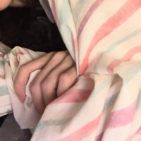 自分にかかっている布団を掴む飼い主