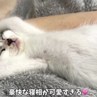 豪快な寝相の坊ちゃん