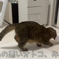 諦めの悪いオトコ