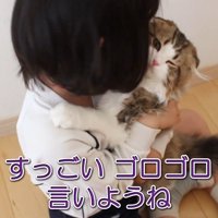 すっごいゴロゴロ