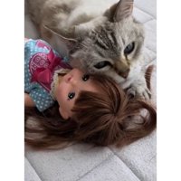 猫と人形