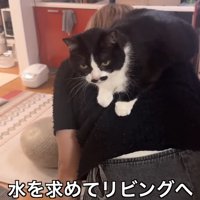 リビングへ