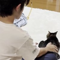猫と男性