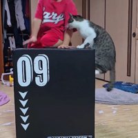 ジャンプトレーニングをする男の子