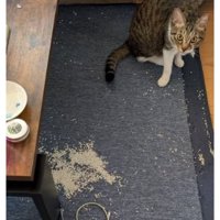散らかった部屋と猫