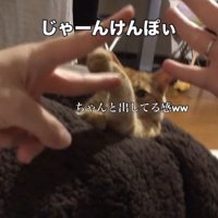 出し手を変える参加者たち