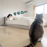 ささみ〜
