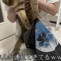 服をひっぱるみにらくん