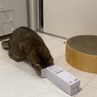 顔を入れようとして