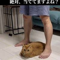 「ストレッチ中ですよ？...」のテロップ写真