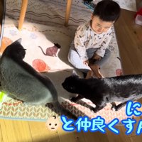 テロップ（右）「にゃう～」