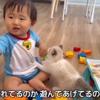 テロップ「遊ばれてるのか～」