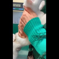 掴まり立ち