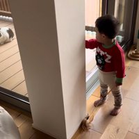 テロップ「たたみ」