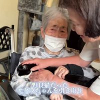 おばあちゃんと猫