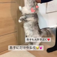 猫と男の子
