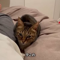 テロップ「今これ」