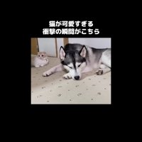 くつろぐふたり