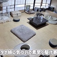 「そんなタナ姉に...」のテロップ写真