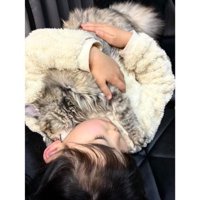 抱かれている猫