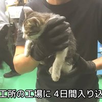 テロップ「鉄工所の工場内に～」