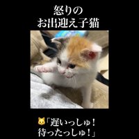 前足を上げて鳴く姿