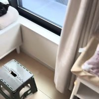 画面左端窓際で見切れている2匹の猫