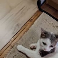 視点移動