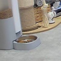 自動給餌器の前に置かれた、キャットフードの入った皿