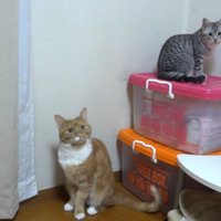 こちらを向くふたり