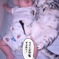 眠る赤ちゃんと猫2