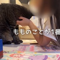1番大好き