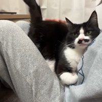 お尻が上がった体勢