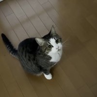 こちらを見上げて