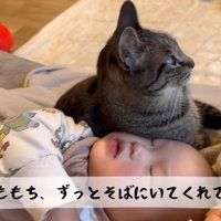 寝込んでいる赤ちゃんのそばに寄り添う猫
