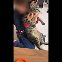 バックハグ