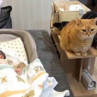 サイドテーブルの上