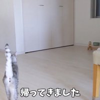 帰ってきました