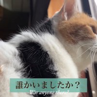 テロップ「誰かいました？」