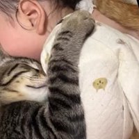 赤ちゃんに顔をうずめる子猫