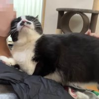 片目を瞑った顔