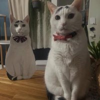 等身大パネルのそばでお座りをしているカメラ目線の猫