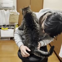 つかまり立ちの後ろ姿