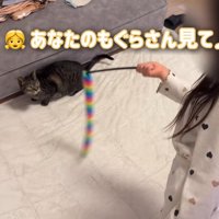 あなたのモグラさん見て♪