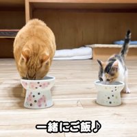 テロップ「一緒にご飯」